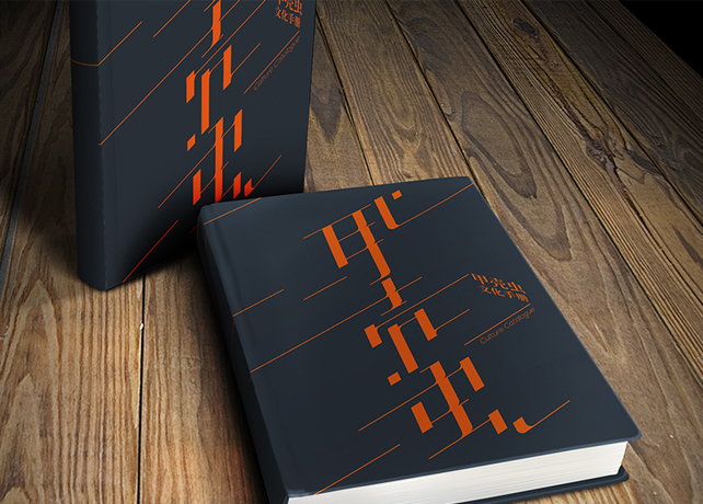 甲殼蟲 企業畫冊設計